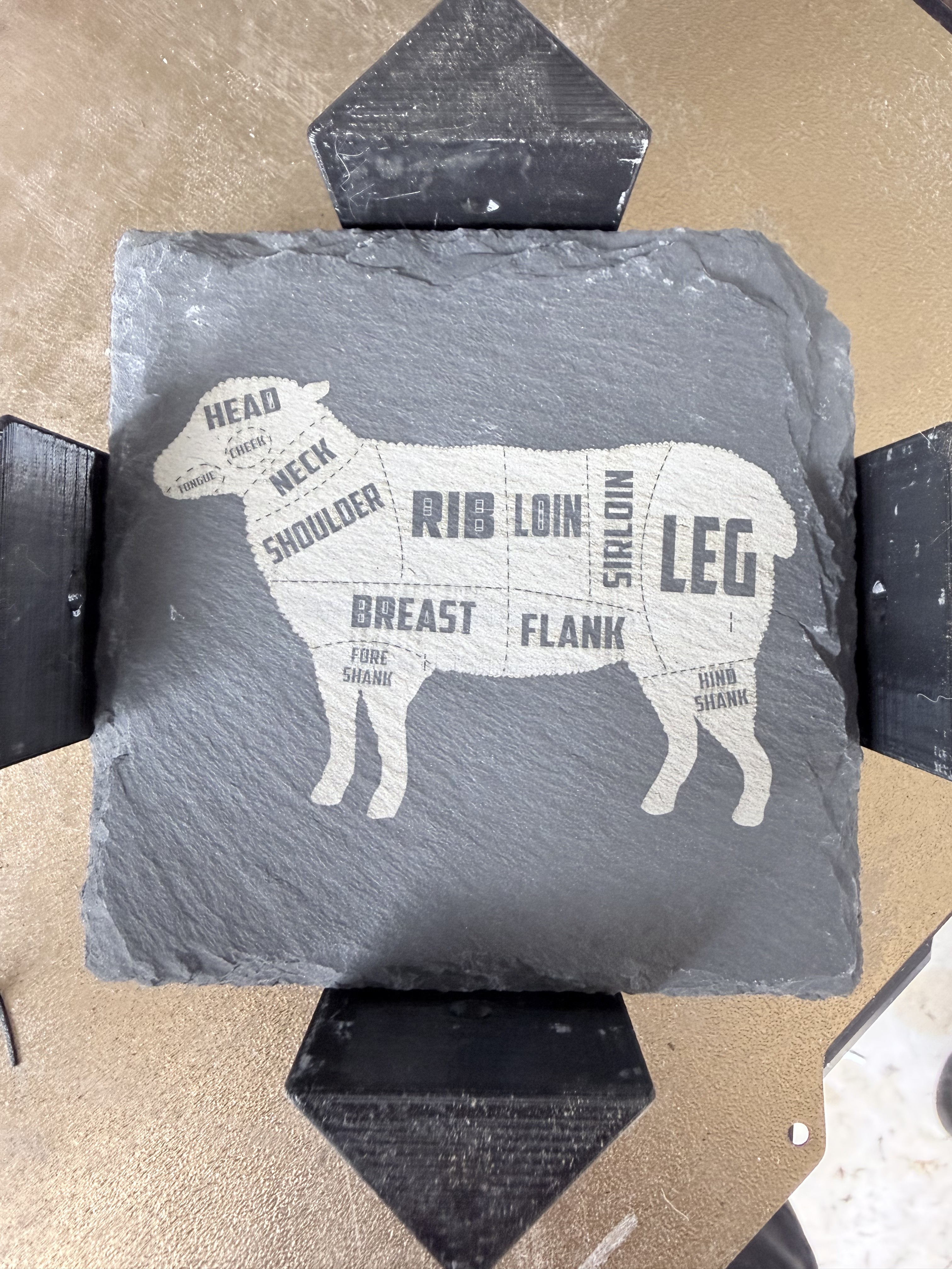 Lamb Cuts Coaster