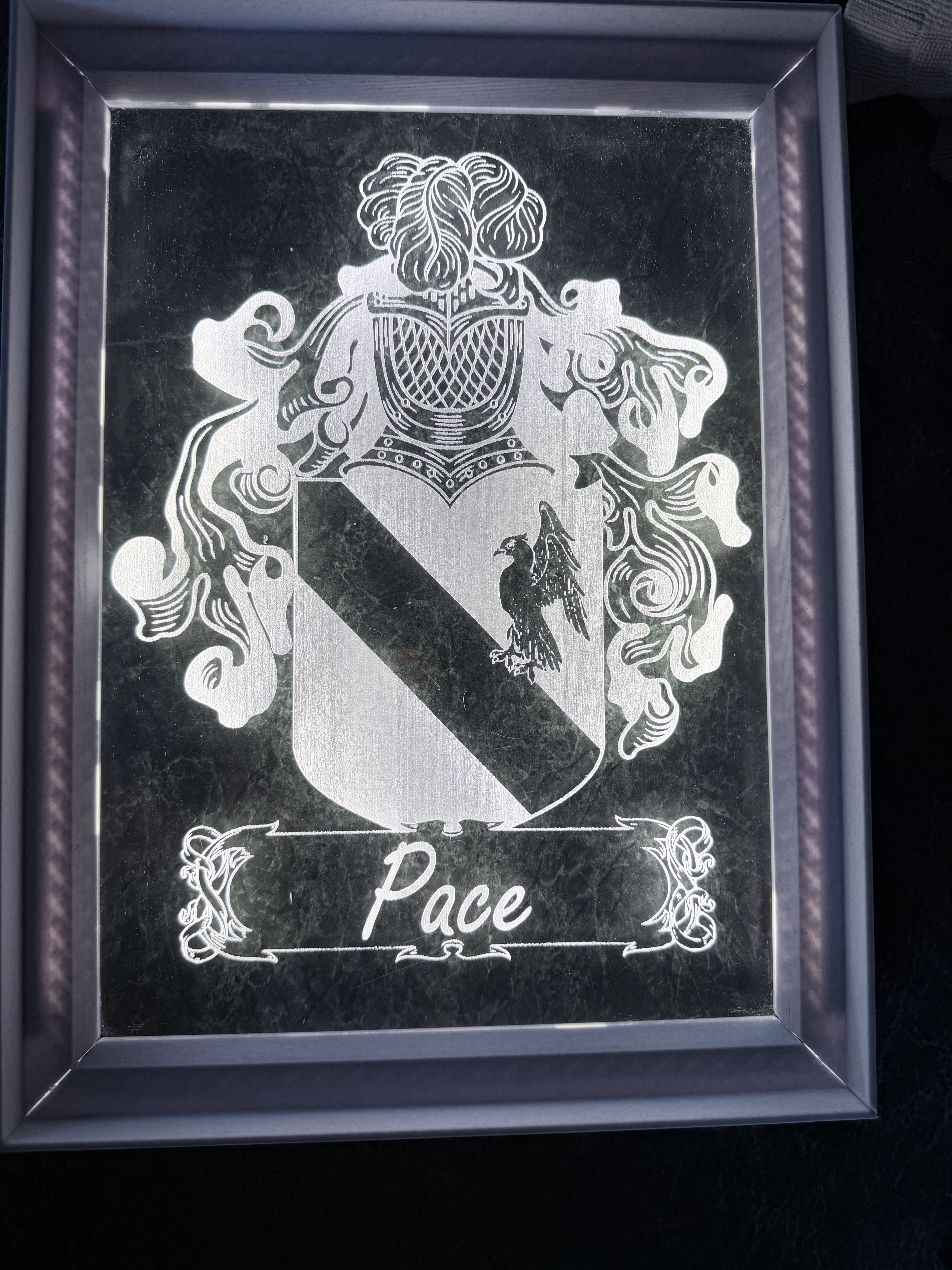 Pace Family Crest (Lit)